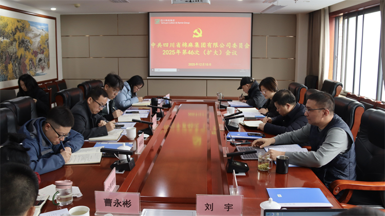 集团公司召开2025年第46次党委（扩大）会议