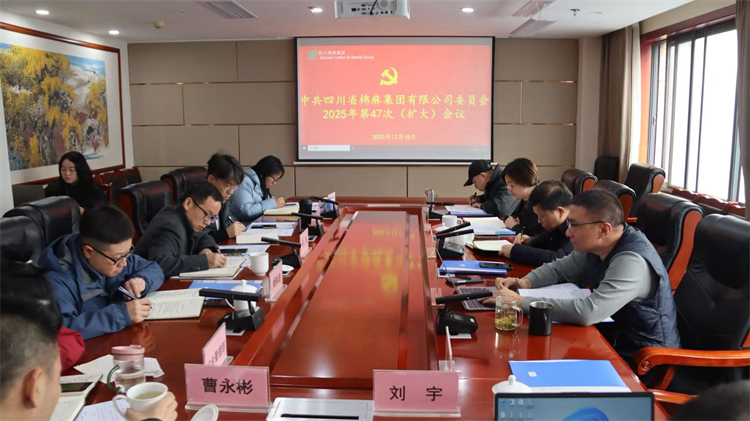 集团公司召开2025年第47次党委（扩大）会议