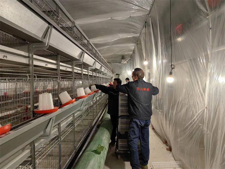 图片2.jpg
